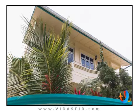 پالم رست مالدیو