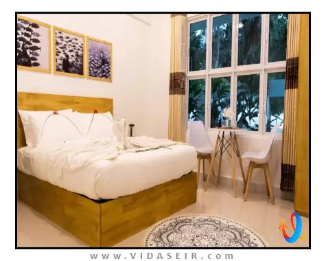 پالم رست مالدیو