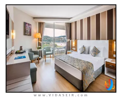 پالم وینگز افسوس کوش آداسی