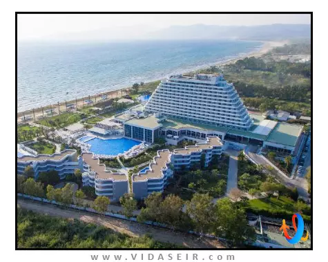 پالم وینگز افسوس کوش آداسی