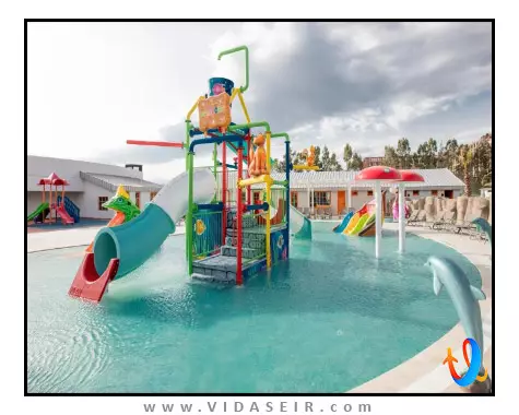 پالم وینگز افسوس کوش آداسی