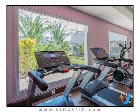 پالم وینگز افسوس کوش آداسی