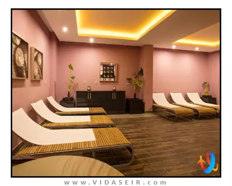 پالم وینگز افسوس کوش آداسی