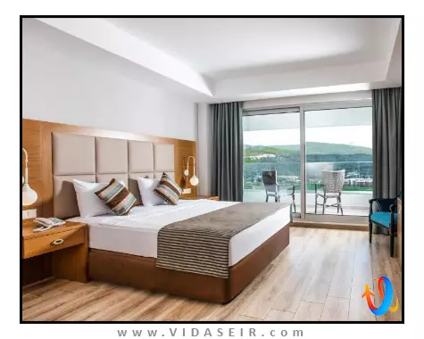 پالم وینگز افسوس کوش آداسی