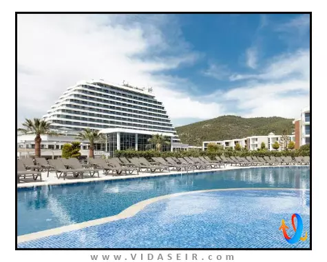 پالم وینگز افسوس کوش آداسی