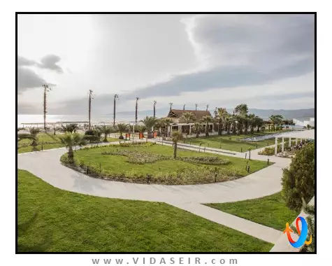 پالم وینگز افسوس کوش آداسی