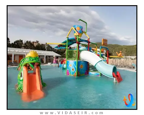 پالم وینگز افسوس کوش آداسی