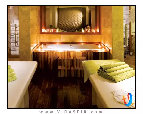 پالوما پاشا کوش آداسی