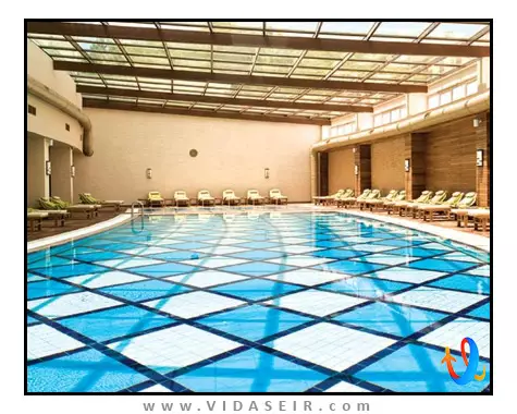 پالوما پاشا کوش آداسی