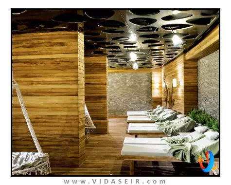 پالوما پاشا کوش آداسی