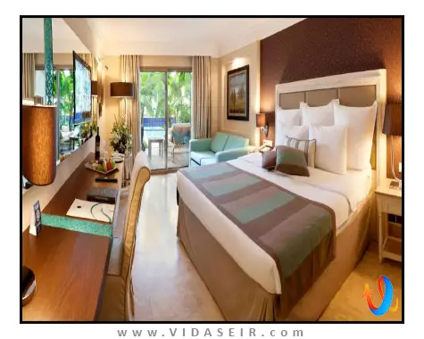 پالوما پاشا کوش آداسی