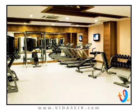 پالوما پاشا کوش آداسی