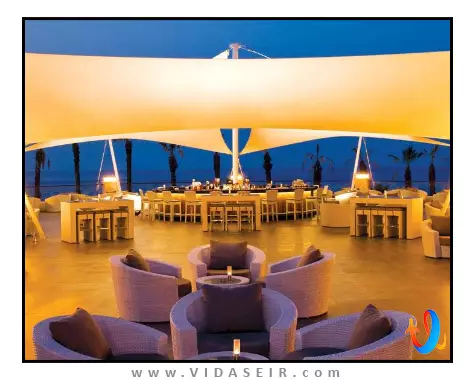 پالوما پاشا کوش آداسی