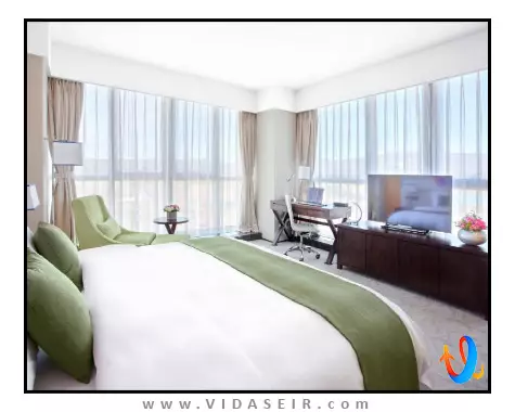 پریفرنس هوالینگ تفلیس