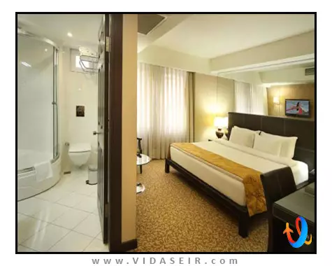 کارتون استانبول