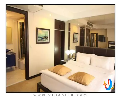 کارتون استانبول