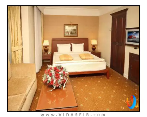 کارتون استانبول