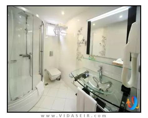 کارتون استانبول