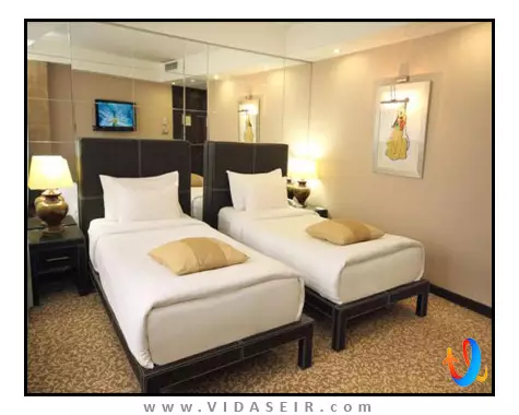 کارتون استانبول