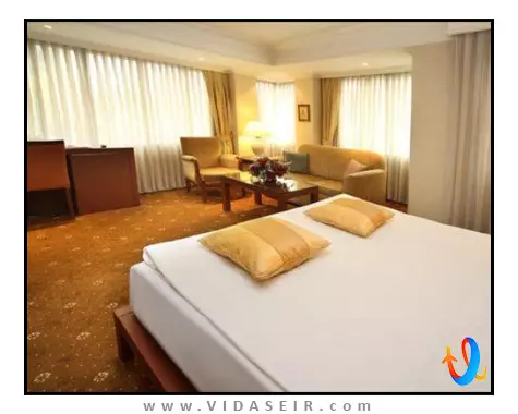 کارتون استانبول