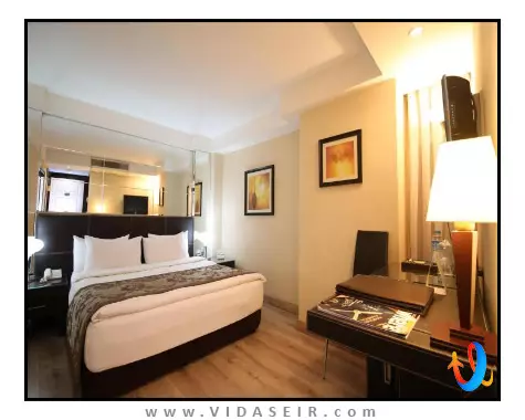 کارتون استانبول