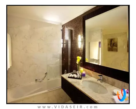 کارلتون تاور دبی