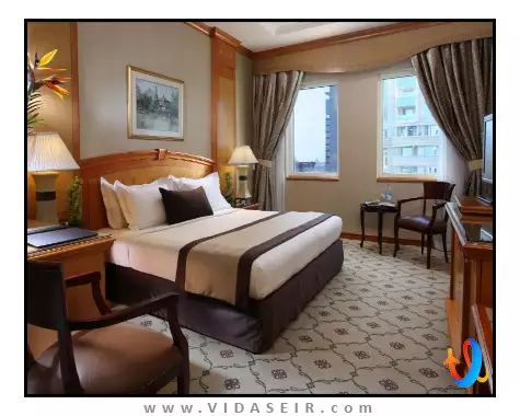 کارلتون پالاس دبی