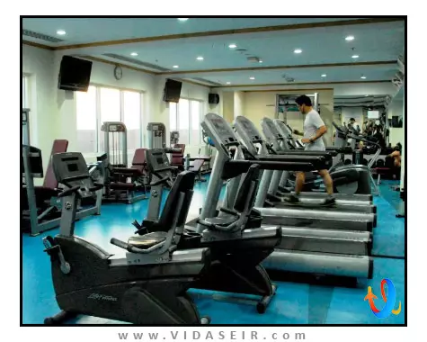 کارلتون پالاس دبی