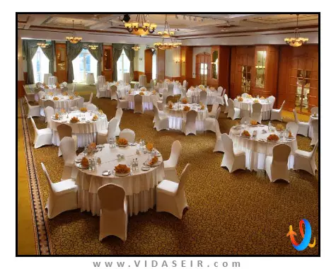 کارلتون پالاس دبی