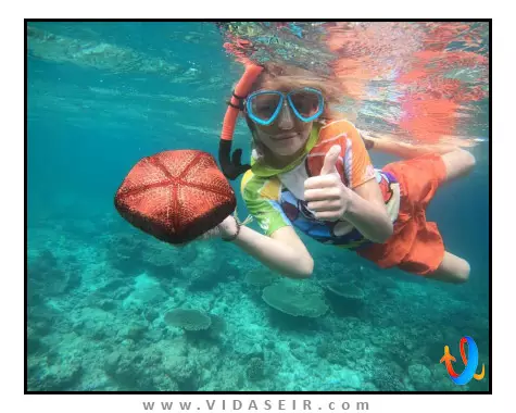 کریستال سندز مالدیو