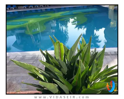 کلاب جویا کمر آنتالیا