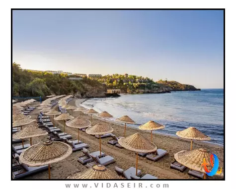 کلاب ماروی کوش آداسی