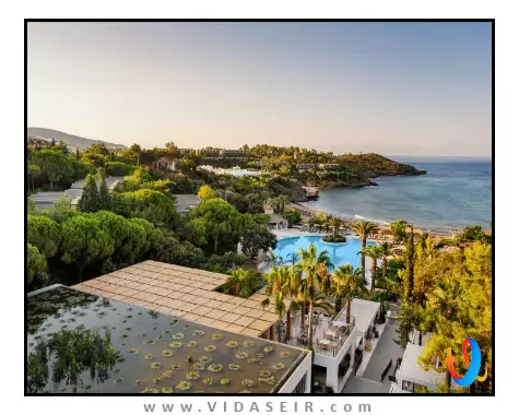 کلاب ماروی کوش آداسی