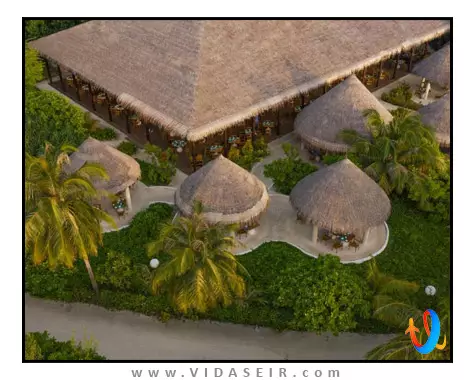 کوکون ریزورت مالدیو