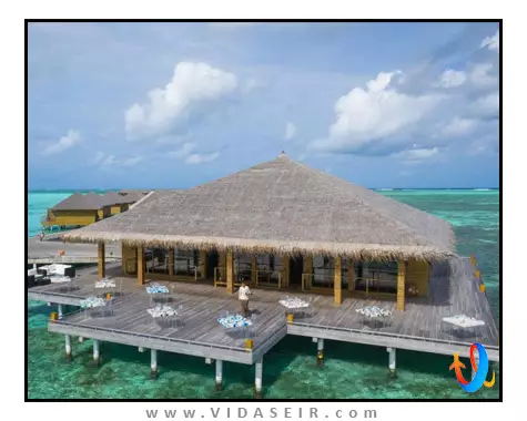 کوکون ریزورت مالدیو