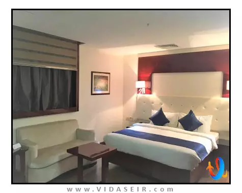 گلدن تولیپ هدینگتون مسقط