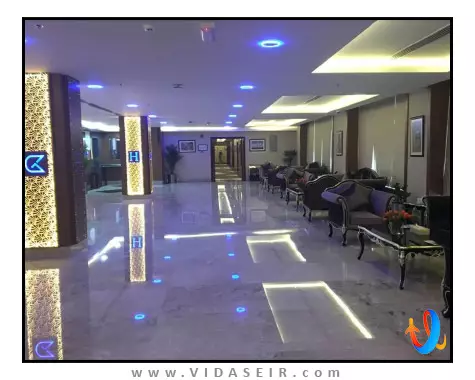 گلدن تولیپ هدینگتون مسقط