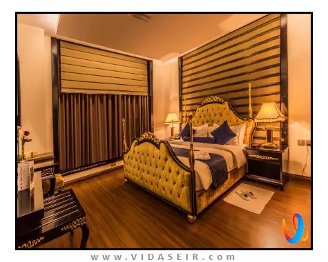 گلدن تولیپ هدینگتون مسقط