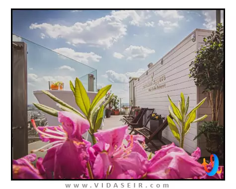 گلدن رینگ مسکو