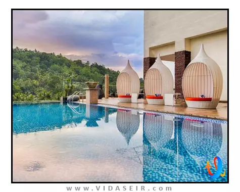 گلدن کراون کندی