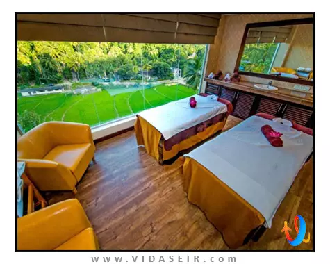 گلدن کراون کندی