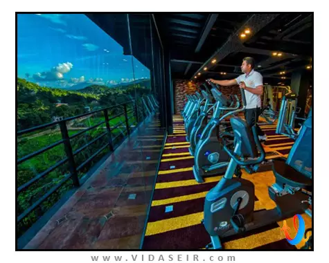 گلدن کراون کندی