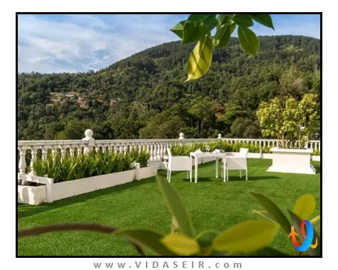 گلدن کراون کندی