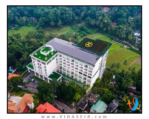 گلدن کراون کندی