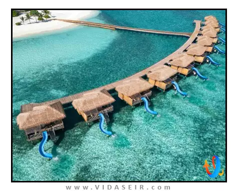 یو اند می مالدیو