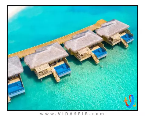 یو اند می مالدیو