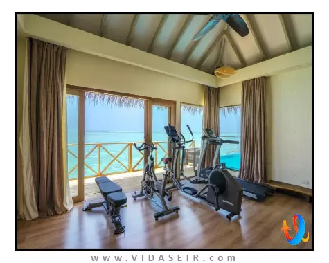 یو اند می مالدیو