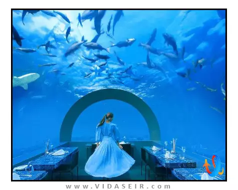 یو اند می مالدیو