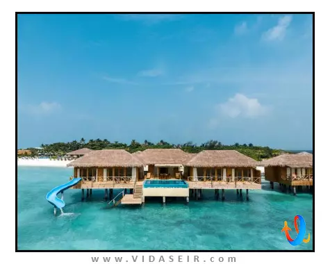 یو اند می مالدیو