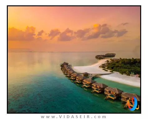 یو اند می مالدیو